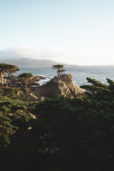 New Years Road Trip Ideas in Monterey, CA