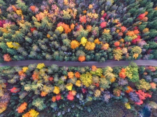Our Favorite Road Trip Playlists for Autumn